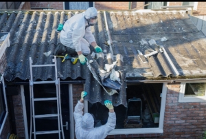 Why is It Important to Choose a Professional Like Zkl Asbestos for Asbestos Removal in Wavell Heights?
